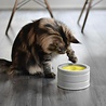 BeOneBreed BeOneBreed Intellikatt - Slowfeeder voor katten - Voerpuzzel aanbevolen door Dierenartsen en Kattengedragsdeskundigen - Grijs/Geel BeOneBreed BeOneBreed Intellikatt - Slowfeeder voor katten - Voerpuzzel aanbevolen door Dierenartsen en Kattengedragsdeskundigen - Grijs/Geel
