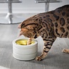 BeOneBreed BeOneBreed Intellikatt - Slowfeeder voor katten - Voerpuzzel aanbevolen door Dierenartsen en Kattengedragsdeskundigen - Grijs/Geel BeOneBreed BeOneBreed Intellikatt - Slowfeeder voor katten - Voerpuzzel aanbevolen door Dierenartsen en Kattengedragsdeskundigen - Grijs/Geel