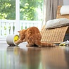 BeOneBreed BeOneBreed Intellikatt - Slowfeeder voor katten - Voerpuzzel aanbevolen door Dierenartsen en Kattengedragsdeskundigen - Grijs/Geel BeOneBreed BeOneBreed Intellikatt - Slowfeeder voor katten - Voerpuzzel aanbevolen door Dierenartsen en Kattengedragsdeskundigen - Grijs/Geel