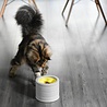 BeOneBreed BeOneBreed Intellikatt - Slowfeeder voor katten - Voerpuzzel aanbevolen door Dierenartsen en Kattengedragsdeskundigen - Grijs/Geel BeOneBreed BeOneBreed Intellikatt - Slowfeeder voor katten - Voerpuzzel aanbevolen door Dierenartsen en Kattengedragsdeskundigen - Grijs/Geel