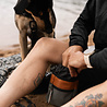 BeOneBreed BeOneBreed Treat Pouch – Beloningszakje met heupriem - Voor Hondensnacks – Handig bij Puppy Training of tijdens het Wandelen met de Hond - Gemaakt van Vegan leer BeOneBreed BeOneBreed Treat Pouch – Beloningszakje met heupriem - Voor Hondensnacks – Handig bij Puppy Training of tijdens het Wandelen met de Hond - Gemaakt van Vegan leer