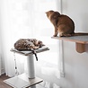 BeOneBreed Katt3 EVO Classic Gray – Krabpaal voor katten – Inclusief memory foam kussen, vilten mat en hangspeeltje – Afmetingen 42,5 x 37,5 x 76 cm - Grijs BeOneBreed Katt3 EVO Classic Gray – Krabpaal voor katten – Inclusief memory foam kussen, vilten mat en hangspeeltje – Afmetingen 42,5 x 37,5 x 76 cm - Grijs