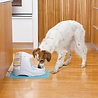 PetSafe PetSafe Drinkwell® Platinum Drinkfontein - 5 liter - Luxe fontein met vrijvallende waterstroom - Lichtgrijs PetSafe PetSafe Drinkwell® Platinum Drinkfontein - 5 liter - Luxe fontein met vrijvallende waterstroom - Lichtgrijs