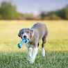 Kong Kong Puppy Goodie Bone - Traktatiespeelgoed - Kauwbot in Roze of Blauw Assorti - Geen kleurkeuze mogelijk - Small - 13 x 5 x 3 cm Kong Kong Puppy Goodie Bone - Traktatiespeelgoed - Kauwbot in Roze of Blauw Assorti - Geen kleurkeuze mogelijk - Small - 13 x 5 x 3 cm