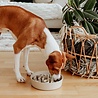 District 70 District 70 BAMBOO Slowfeeder - Stijlvolle anti-schrok voerbak voor honden - In de kleur Merengue, Ice blue en Donkergrijs – Maat Small of Large District 70 District 70 BAMBOO Slowfeeder - Stijlvolle anti-schrok voerbak voor honden - In de kleur Merengue, Ice blue en Donkergrijs – Maat Small of Large