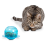 PetSafe PetSafe® Fishbowl Cat Feeder Toy - Kattenspeelgoed voor traktatie of voer - Stimuleert en houdt katten actief - Slowbowl PetSafe PetSafe® Fishbowl Cat Feeder Toy - Kattenspeelgoed voor traktatie of voer - Stimuleert en houdt katten actief - Slowbowl