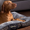 Scruffs Scruffs Chester - Zachte Hondenmatras met Anti-Slip Onderzijde - Grijs of Bruin in M of L Scruffs Scruffs Chester - Zachte Hondenmatras met Anti-Slip Onderzijde - Grijs of Bruin in M of L