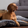 Scruffs Scruffs Chester - Zachte Hondenmatras met Anti-Slip Onderzijde - Grijs of Bruin in M of L Scruffs Scruffs Chester - Zachte Hondenmatras met Anti-Slip Onderzijde - Grijs of Bruin in M of L
