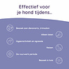 Greenfields Greenfields Calm+ voedingssupplement voor honden met stress en angst problemen – Met Valeriaan, Withania en CurQfen - Inhoud 90 capsules Greenfields Greenfields Calm+ voedingssupplement voor honden met stress en angst problemen – Met Valeriaan, Withania en CurQfen - Inhoud 90 capsules