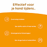 Greenfields Greenfields Skin+ voedingssupplement voor honden met huidproblemen - Met koudgeperste lijnzaadolie en borage olie - Inhoud 250ml Greenfields Greenfields Skin+ voedingssupplement voor honden met huidproblemen - Met koudgeperste lijnzaadolie en borage olie - Inhoud 250ml