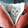 District 70 District 70 TUCK - Luxe & Comfortabele Kattenmand in 3 kleuren - Terra, Donkergrijs & Zand -50x50x30 cm District 70 District 70 TUCK - Luxe & Comfortabele Kattenmand in 3 kleuren - Terra, Donkergrijs & Zand -50x50x30 cm