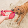 West Paw West Paw Seaflex™ Sailz - Duurzaam Hondenspeelgoed - Frisbee in Roze, Groen en Blauw - Voor gemiddeld sterke Kauwers en Honden die graag Rennen West Paw West Paw Seaflex™ Sailz - Duurzaam Hondenspeelgoed - Frisbee in Roze, Groen en Blauw - Voor gemiddeld sterke Kauwers en Honden die graag Rennen