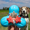 West Paw West Paw Tux Zogoflex - Extra sterk & vulbaar speeltje voor honden - Groen, oranje, blauw - S / L West Paw West Paw Tux Zogoflex - Extra sterk & vulbaar speeltje voor honden - Groen, oranje, blauw - S / L