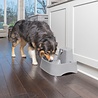PetSafe PetSafe Drinkwell® 7.5 litre Pet Fountain - Drinkfontein voor grote honden - Met vrijvallende waterstroom en verstelbare stroomsnelheid - 7,5 liter PetSafe PetSafe Drinkwell® 7.5 litre Pet Fountain - Drinkfontein voor grote honden - Met vrijvallende waterstroom en verstelbare stroomsnelheid - 7,5 liter