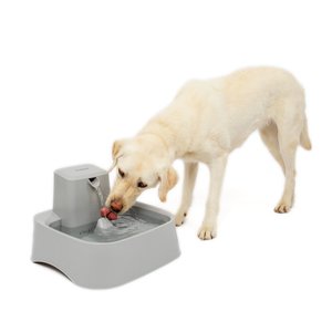 PetSafe Drinkwell® 7,5 liter Drinkfontein voor grote honden