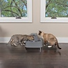 PetSafe PetSafe Drinkwell® 7.5 litre Pet Fountain - Drinkfontein voor grote honden - Met vrijvallende waterstroom en verstelbare stroomsnelheid - 7,5 liter PetSafe PetSafe Drinkwell® 7.5 litre Pet Fountain - Drinkfontein voor grote honden - Met vrijvallende waterstroom en verstelbare stroomsnelheid - 7,5 liter