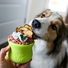West Paw West Paw Toppl Zogoflex - Uitdagend en sterk speelgoed voor honden - Slowfeeder - Vulbaar met voer of snacks - S / L/ XL West Paw West Paw Toppl Zogoflex - Uitdagend en sterk speelgoed voor honden - Slowfeeder - Vulbaar met voer of snacks - S / L/ XL