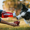 Kurgo Kurgo Gourd H2O Bottle & Bowl - Drinkfles voor jou en waterbak voor de hond in één - Rood, blauw, groen Kurgo Kurgo Gourd H2O Bottle & Bowl - Drinkfles voor jou en waterbak voor de hond in één - Rood, blauw, groen