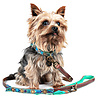 Dog With A Mission Leren Hondenhalsband met Kleurrijk Bohemian Design - Dog with a Mission Boho Juan - XXS tot XXL Dog With A Mission Leren Hondenhalsband met Kleurrijk Bohemian Design - Dog with a Mission Boho Juan - XXS tot XXL
