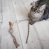 Spot Spot Silver Vine Kattenhengel - Onweerstaanbaar Kattenspeelgoed met Silvervine - Als Catnip niet werkt - Kattenspeeltjes mix: Geen keuze mogelijk Spot Spot Silver Vine Kattenhengel - Onweerstaanbaar Kattenspeelgoed met Silvervine - Als Catnip niet werkt - Kattenspeeltjes mix: Geen keuze mogelijk