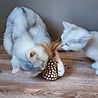 Spot Spot Silver Vine Chunky - Onweerstaanbaar Kattenspeelgoed van Hout en Silvervine - Als Catnip niet werkt - Kattenspeeltjes mix: Geen keuze mogelijk Spot Spot Silver Vine Chunky - Onweerstaanbaar Kattenspeelgoed van Hout en Silvervine - Als Catnip niet werkt - Kattenspeeltjes mix: Geen keuze mogelijk