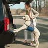 Kurgo Kurgo Up & About Lifter - Harnas om de hond makkelijk op te tillen - Alternatief voor de hondenloopplank - Voor honden tot 41 kg Kurgo Kurgo Up & About Lifter - Harnas om de hond makkelijk op te tillen - Alternatief voor de hondenloopplank - Voor honden tot 41 kg