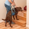 Kurgo Kurgo Up & About Lifter - Harnas om de hond makkelijk op te tillen - Alternatief voor de hondenloopplank - Voor honden tot 41 kg Kurgo Kurgo Up & About Lifter - Harnas om de hond makkelijk op te tillen - Alternatief voor de hondenloopplank - Voor honden tot 41 kg