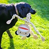HuggleHounds HuggleHounds Rope Knottie Monkey - Hondenspeelgoed gemaakt van natuurlijke materialen - Trekspel - Geschikt voor grote honden - Aap - Maat L of XL HuggleHounds HuggleHounds Rope Knottie Monkey - Hondenspeelgoed gemaakt van natuurlijke materialen - Trekspel - Geschikt voor grote honden - Aap - Maat L of XL