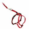 PetSafe Petsafe Easy Walk Cat Harness met Bungee Leash - Tuigje voor het uitlaten van je kat - Rood of Blauw - S/M/L PetSafe Petsafe Easy Walk Cat Harness met Bungee Leash - Tuigje voor het uitlaten van je kat - Rood of Blauw - S/M/L