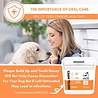 DogsLife DogsLife Dental Wipes - Gebitsdoekjes voor tandheelkundige reiniging van honden - Vingerdoekjes om tanden te poetsen - Inhoud 50 stuks DogsLife DogsLife Dental Wipes - Gebitsdoekjes voor tandheelkundige reiniging van honden - Vingerdoekjes om tanden te poetsen - Inhoud 50 stuks