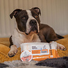 DogsLife Dogslife Grooming Wipes - Geparfumeerde verzorgingsdoekjes voor honden - Met baby talkpoeder geur - Reinigt kontjes, vacht, poten en snoetjes - Inhoud 100 stuks DogsLife Dogslife Grooming Wipes - Geparfumeerde verzorgingsdoekjes voor honden - Met baby talkpoeder geur - Reinigt kontjes, vacht, poten en snoetjes - Inhoud 100 stuks