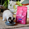 Imby Imby Insect-based Droogvoer - Kattenvoer van Duurzaam Insecteneiwit - Complete Voeding - Hypoallergeen - Volwassen Gesteriliseerde Katten - 400 gram en 1,5 kg Imby Imby Insect-based Droogvoer - Kattenvoer van Duurzaam Insecteneiwit - Complete Voeding - Hypoallergeen - Volwassen Gesteriliseerde Katten - 400 gram en 1,5 kg