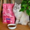 Imby Imby Insect-based Droogvoer - Kattenvoer van Duurzaam Insecteneiwit - Complete Voeding - Hypoallergeen - Volwassen Gesteriliseerde Katten - 400 gram en 1,5 kg Imby Imby Insect-based Droogvoer - Kattenvoer van Duurzaam Insecteneiwit - Complete Voeding - Hypoallergeen - Volwassen Gesteriliseerde Katten - 400 gram en 1,5 kg