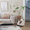 District 70 District 70 TUCK - Luxe & Comfortabele Kattenmand in 3 kleuren - Terra, Donkergrijs & Zand -50x50x30 cm District 70 District 70 TUCK - Luxe & Comfortabele Kattenmand in 3 kleuren - Terra, Donkergrijs & Zand -50x50x30 cm