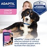 Adaptil Adaptil Junior halsband - Voorkom stress bij jouw pup - 30 dagen werkzaam - Klinisch bewezen, aanbevolen door dierenartsen en fokkers Adaptil Adaptil Junior halsband - Voorkom stress bij jouw pup - 30 dagen werkzaam - Klinisch bewezen, aanbevolen door dierenartsen en fokkers