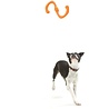 West Paw West Paw Bumi® met Zogoflex - Sterke Flexibele Werpstok voor Honden - Trekspel - Apporteren - Small of Large West Paw West Paw Bumi® met Zogoflex - Sterke Flexibele Werpstok voor Honden - Trekspel - Apporteren - Small of Large