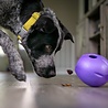 West Paw West Paw Rumbl met Zogoflex® Echo - Vulbaar Hondenspeelgoed en Slow Feeder - Geschikt voor Pups en Zachte kauwers West Paw West Paw Rumbl met Zogoflex® Echo - Vulbaar Hondenspeelgoed en Slow Feeder - Geschikt voor Pups en Zachte kauwers