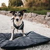 District 70 LODGE Benchkussen - Waterafstotend & Afwasbaar All Season Materiaal en Fleece - In 3 Kleuren van S tot XXL District 70 LODGE Benchkussen - Waterafstotend & Afwasbaar All Season Materiaal en Fleece - In 3 Kleuren van S tot XXL