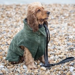wond Huiswerk maken Nodig uit Trendy en comfortabele kleding voor je hond! - Max&Luna