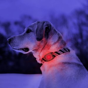 Kurgo RSG Molle Dog LED Light