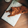 District 70 District 70 SHERPA - Comfortabele en Stijlvolle Benchmat - Verkrijgbaar in 5 maten - Donkergrijs, Merengue & Mokka District 70 District 70 SHERPA - Comfortabele en Stijlvolle Benchmat - Verkrijgbaar in 5 maten - Donkergrijs, Merengue & Mokka