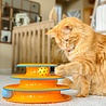 Petstages Petstages Tower of Tracks - Speelgoed voor Katten met veel Energie - Toren met balletjes en anti-slip noppen - Oranje Petstages Petstages Tower of Tracks - Speelgoed voor Katten met veel Energie - Toren met balletjes en anti-slip noppen - Oranje