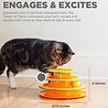 Petstages Petstages Tower of Tracks - Speelgoed voor Katten met veel Energie - Toren met balletjes en anti-slip noppen - Oranje Petstages Petstages Tower of Tracks - Speelgoed voor Katten met veel Energie - Toren met balletjes en anti-slip noppen - Oranje