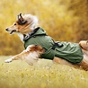 Rukka Pets Rukka Pets Streamy ECO Raincoat - Trendy hondenregenjas - Gerecycled materiaal - Opening voor riem of harnas - Afneembare capuchon - Olijfgroen - In 9 maten Rukka Pets Rukka Pets Streamy ECO Raincoat - Trendy hondenregenjas - Gerecycled materiaal - Opening voor riem of harnas - Afneembare capuchon - Olijfgroen - In 9 maten