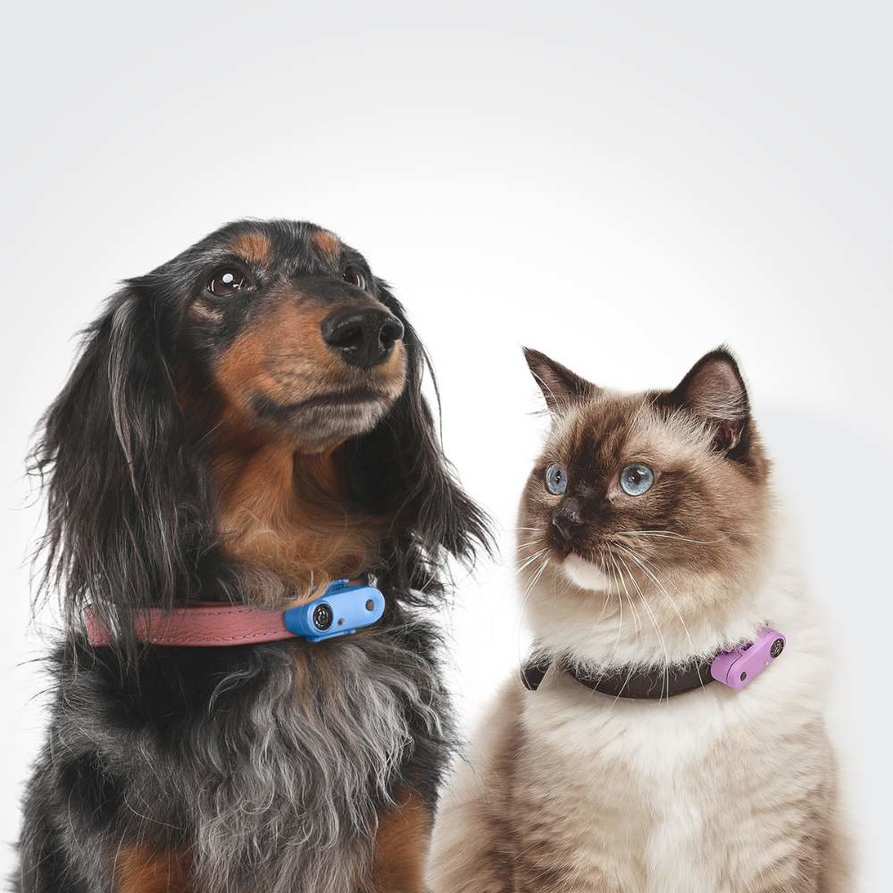 TICKLESS Mini Cat en vlooienbestrijder - Max&Luna