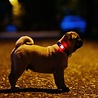 Tickless TICKLESS Mini Dog - Ultrasone teken en vlooienbestrijder voor kleine honden - Oplaadbaar - Vrij van chemicaliën - Met Nachtlichtfunctie Tickless TICKLESS Mini Dog - Ultrasone teken en vlooienbestrijder voor kleine honden - Oplaadbaar - Vrij van chemicaliën - Met Nachtlichtfunctie