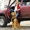 Kurgo Kurgo Enhanced Strength Tru-Fit Dog Car Harness - Veiligheidsharnas, verstelbaar op 5 plaatsen - in Zwart van XS tot XL Kurgo Kurgo Enhanced Strength Tru-Fit Dog Car Harness - Veiligheidsharnas, verstelbaar op 5 plaatsen - in Zwart van XS tot XL