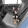 Kurgo Kurgo Enhanced Strength Tru-Fit Dog Car Harness - Veiligheidsharnas, verstelbaar op 5 plaatsen - in Zwart van XS tot XL Kurgo Kurgo Enhanced Strength Tru-Fit Dog Car Harness - Veiligheidsharnas, verstelbaar op 5 plaatsen - in Zwart van XS tot XL