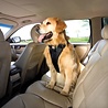 Kurgo Kurgo Enhanced Strength Tru-Fit Dog Car Harness - Veiligheidsharnas, verstelbaar op 5 plaatsen - in Zwart van XS tot XL Kurgo Kurgo Enhanced Strength Tru-Fit Dog Car Harness - Veiligheidsharnas, verstelbaar op 5 plaatsen - in Zwart van XS tot XL