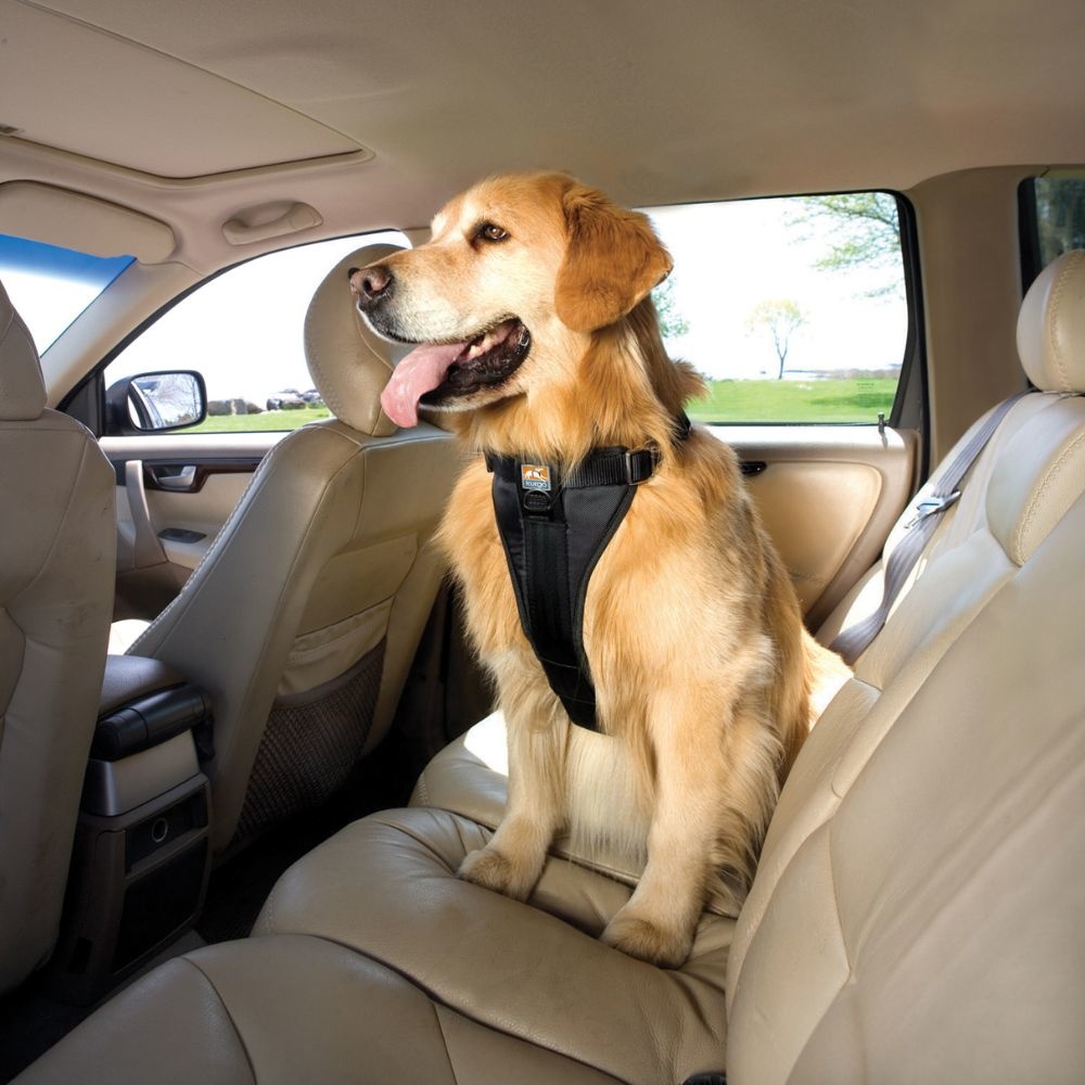 Kurgo Strength Tru-Fit Dog Car Harness - Max&Luna